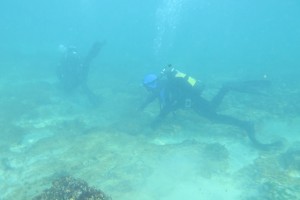 Scufundare la corabie in Eforie Sud decembrie 2014 - Nemo Diving Center 004